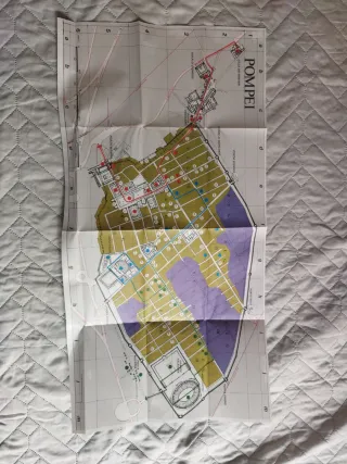 Libro POMPEI vintage 1967