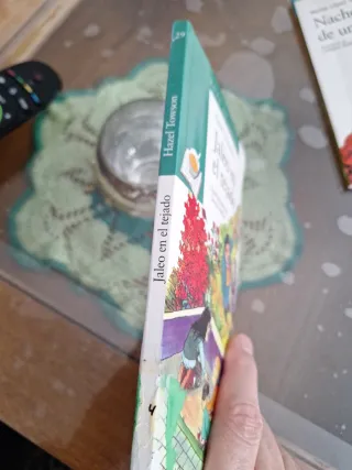 (Jaleo en el tejado) y (Nacho en lo alto de un gui