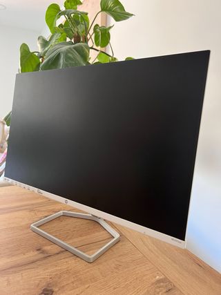 Monitor HP non funzionante