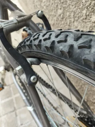 Bicicleta montaña coluer sphera