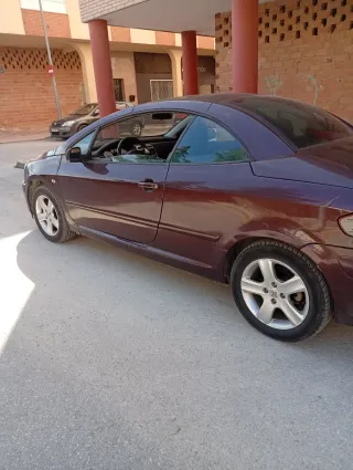 Peugeot 307 2005