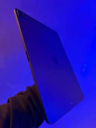 iPad Pro 12.9 4ª Gen