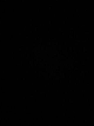 Disco Vinilo Nydia Caro