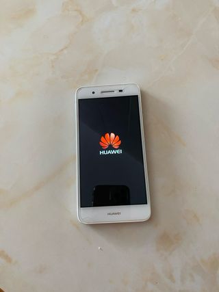 Huawei TAG L-21 Argento