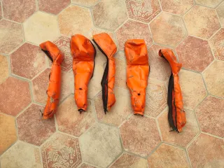 Dogtrace GPS Collares Perro