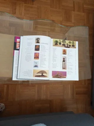 Bonsái¡ GUÍA PRÁCTICA COMPLETA