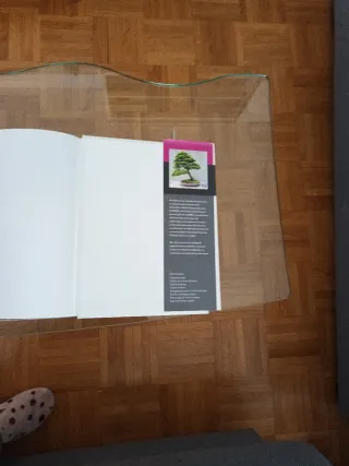 Bonsái¡ GUÍA PRÁCTICA COMPLETA