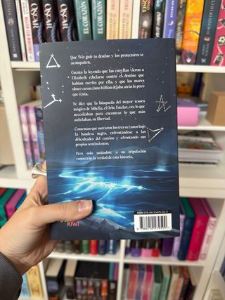 Piratas del firmamento