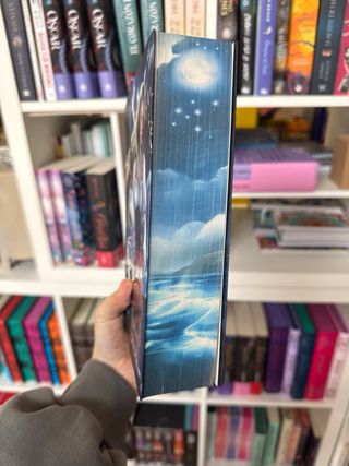 Piratas del firmamento