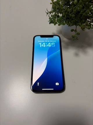 iPhone 12 Negro 128 GB Batería recién cambiada