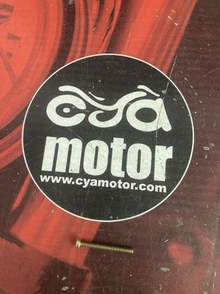 Tornillo Piaggio, Ref 1204400010