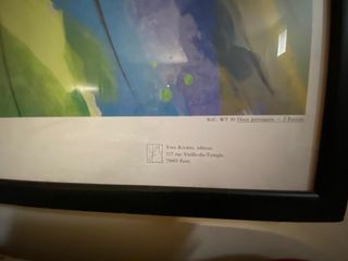 Cuadro grande de loros