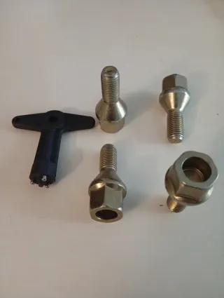 Tornillos y Llave Seguridad Renault 8200272209
