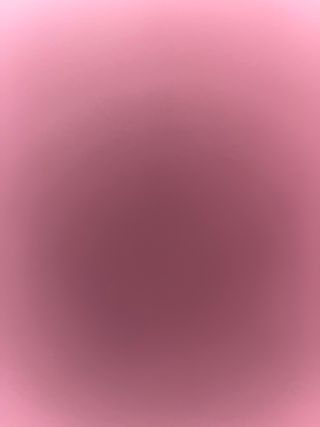 iPhone 13 mini rosa/oro rosa