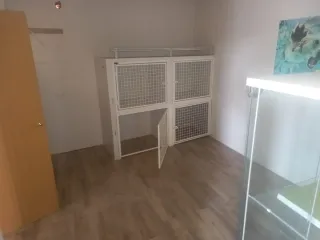 Local comercial reformado en Almensilla