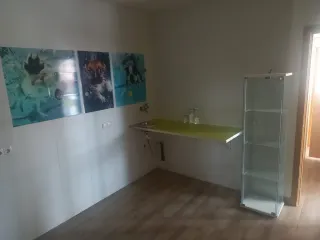 Local comercial reformado en Almensilla