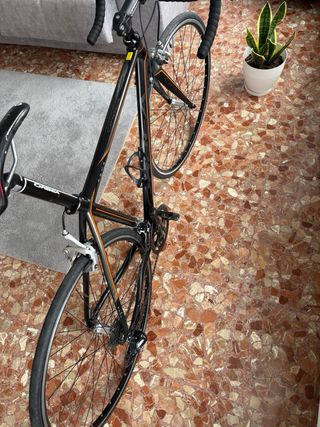 Bicicleta Carretera Orbea Agua Talla 51