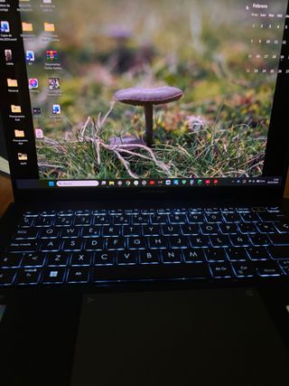 Portátil Asus Zenbook 14 OLED