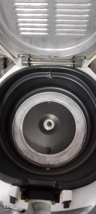 Freidora DeLonghi Roto Fry