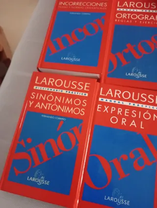 Diccionario práctico de dificultades de la leng...