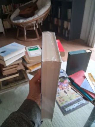 El puente hacia el infinito. Nuevo, con precinto.