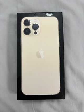 Lote iPhone 13 Pro Max Accessori