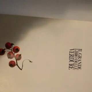 Ricettario da collezione il grande libro delle ver