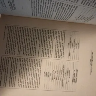 Ricettario da collezione il grande libro delle ver