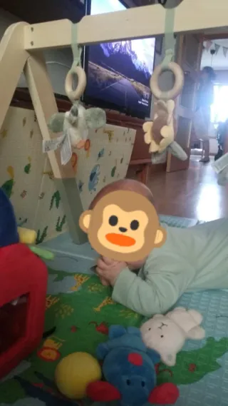 Gimnasio Little Dutch Granja