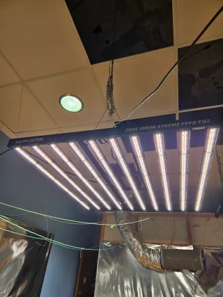 Lámpara Lumatek Zeus 1000W LED Xtreme CO2