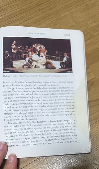 Fuente Ovejuna (Clasicos Hispanicos) (Spanish E...