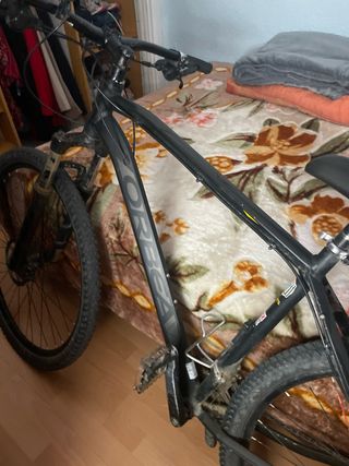 Bicicleta Orbea MX 29