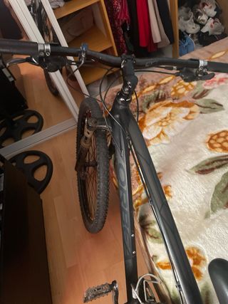 Bicicleta Orbea MX 29