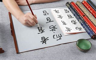 Curso de Sumi-e: libro y rollo para practicar
