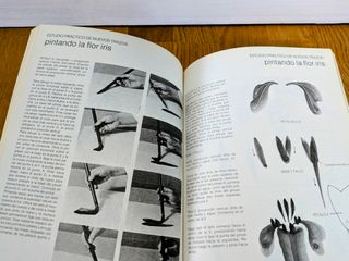 Curso de Sumi-e: libro y rollo para practicar