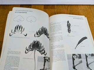 Curso de Sumi-e: libro y rollo para practicar