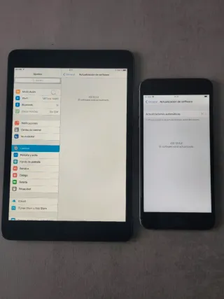 iPhone 6 Plus y iPad Mini
