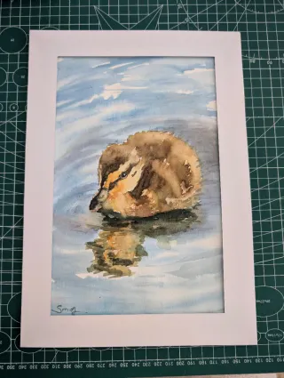 Cuadro acuarela patito enmarcado