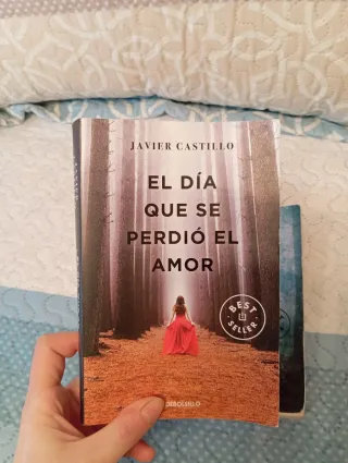 Bilogía Javier Castillo: El día que se perdió el a