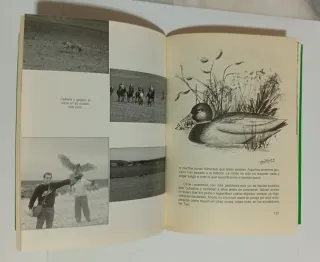 Así cazo - los secretos cinegéticos del campeón...