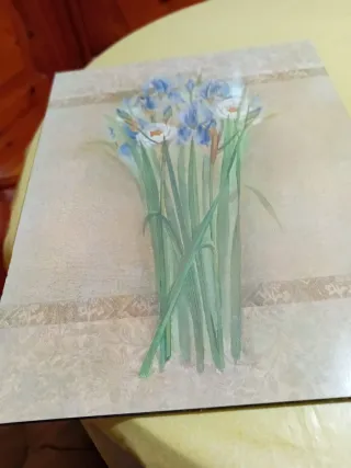 Cuadro decorativo flores iris