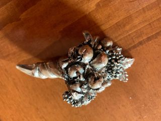 Cornucopia piccola abbondanza