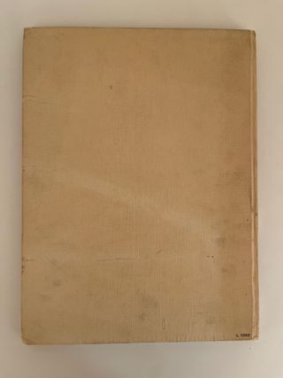 I Kennedy, gloria e tragedia una grande famiglia