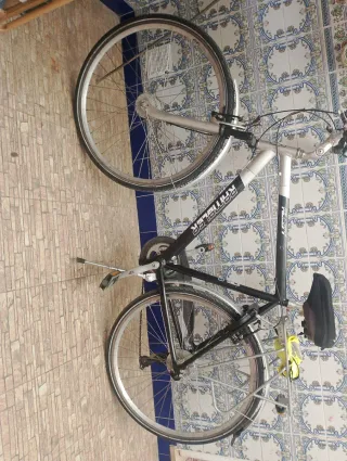 Bicicleta Rambler