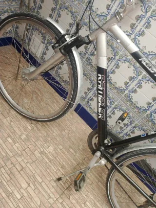 Bicicleta Rambler
