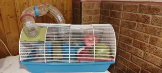 Jaula Hámster Accesorios Incluidos
