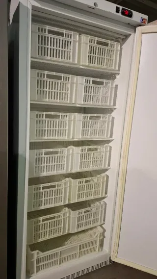 Congelador vertical con display digital