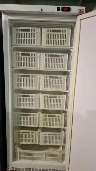 Congelador vertical con display digital