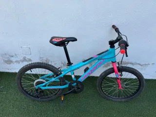 Bicicletas Megamo 20 Azul y Rosa