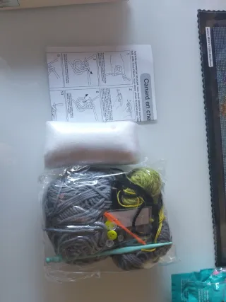 Kit de crochet ratón laveur